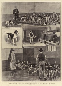 A Threatened Pack, the Royal Buckhounds at the Kennels at Ascot